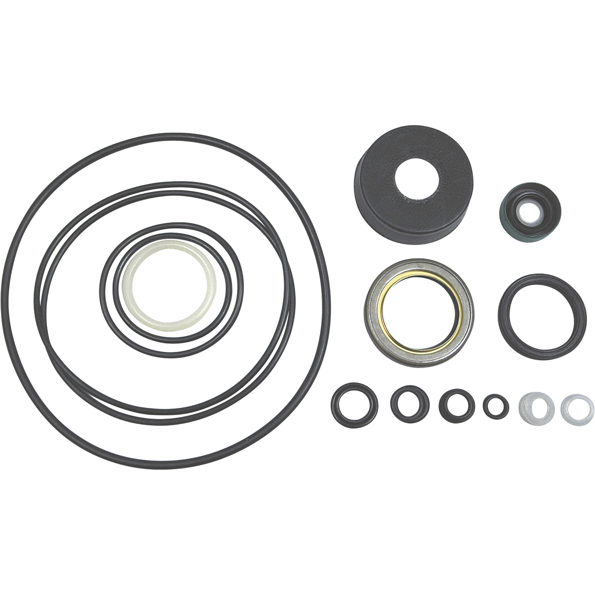 Meyer Seal Kit, Fits E-60/60H/V-66, Model# 15707SP